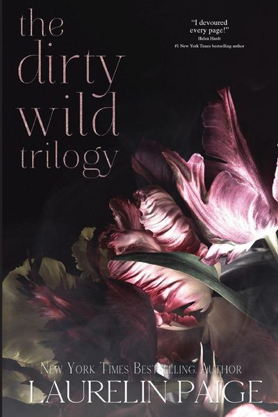 Produktbild: Dirty Wild Trilogy