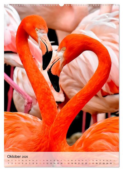 Produktbild: Flamingos - Eleganz und Sch&ouml;nheit (Wandkalender 2026 DIN A2 hoch), CALVENDO Monatskalender