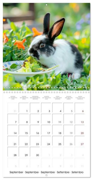 Produktbild: RABBITS Cuddly little guys (Wall Calendar 2026 12 &times; 12 Inch) CALVENDO 12 Month Wall Calendar