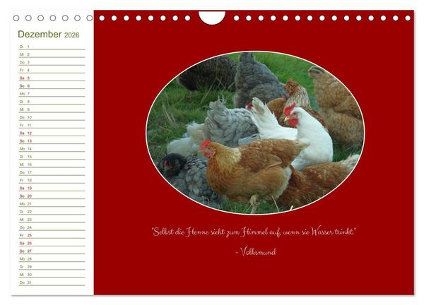 Produktbild: Freilaufende H&uuml;hner (Wandkalender 2026 DIN A4 quer), CALVENDO Monatskalender