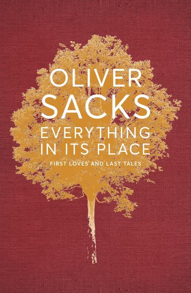 Produktbild: Everything in Its Place