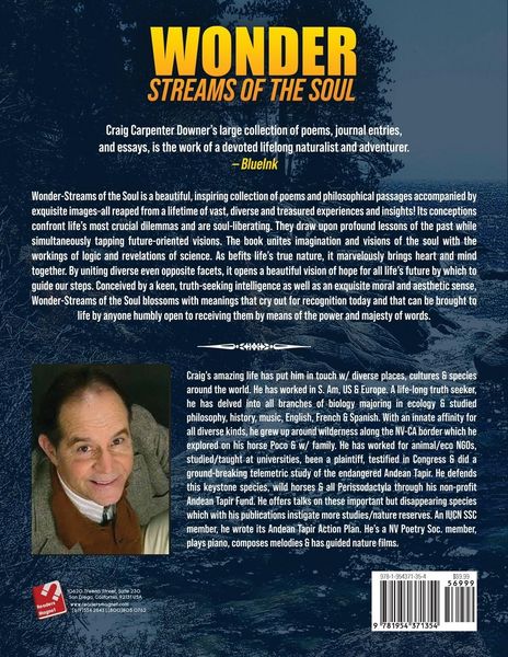 Produktbild: Wonder Streams of the Soul