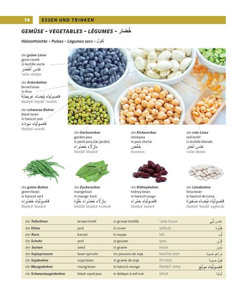 Produktbild: PONS Gro&szlig;es Bildw&ouml;rterbuch Arabisch - Deutsch + Englisch und Franz&ouml;sisch