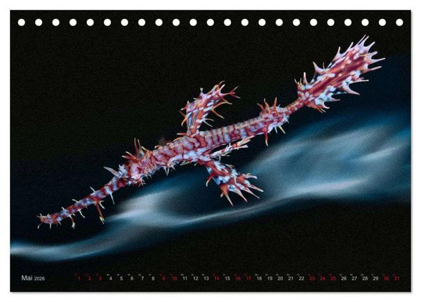Produktbild: Artwork Unterwasser - Erlebnis Tauchen (Tischkalender 2026 DIN A5 quer), CALVENDO Monatskalender