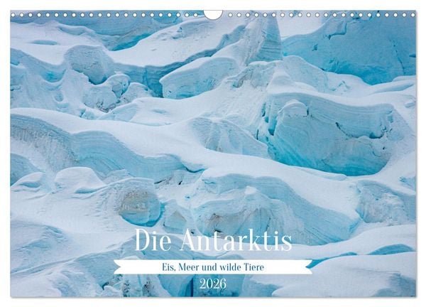 Die Antarktis - Eis, Meer und wilde Tiere (Wandkalender 2026 DIN A3 quer), CALVENDO Monatskalender