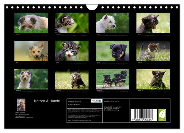Produktbild: Katzen & Hunde (Wandkalender 2026 DIN A4 quer), CALVENDO Monatskalender