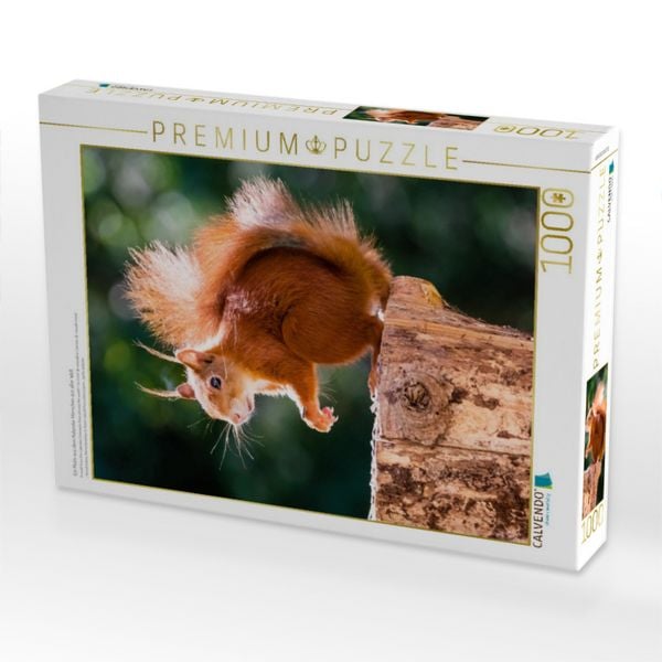 Produktbild: CALVENDO Puzzle Ein Motiv aus dem Kalender H&ouml;rnchen aus aller Welt | 1000 Teile Lege-Gr&ouml;&szlig;e 64x48cm Foto-Puzzle f&uuml;r gl&uuml;ckliche Stunden