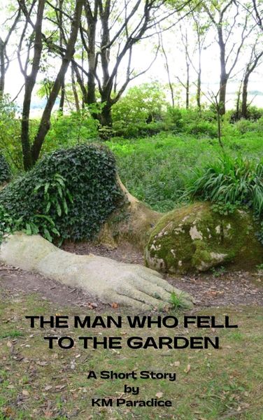 Produktbild: The Man Who Fell to the Garden (The Ohoopee River Anthology, #3)