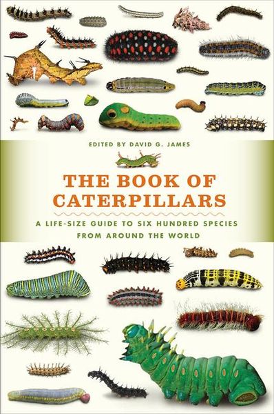 Produktbild: The Book of Caterpillars