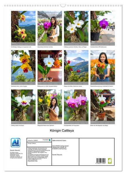 Produktbild: K&ouml;nigin Cattleya (Wandkalender 2027 DIN A2 hoch), CALVENDO Monatskalender