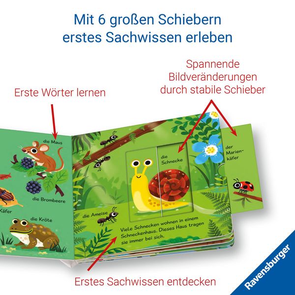 Produktbild: Meine ersten W&ouml;rter vom Wald (X)