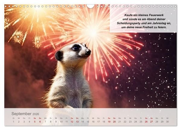 Produktbild: Endlich erfolgreich geschieden (Wandkalender 2026 DIN A3 quer), CALVENDO Monatskalender