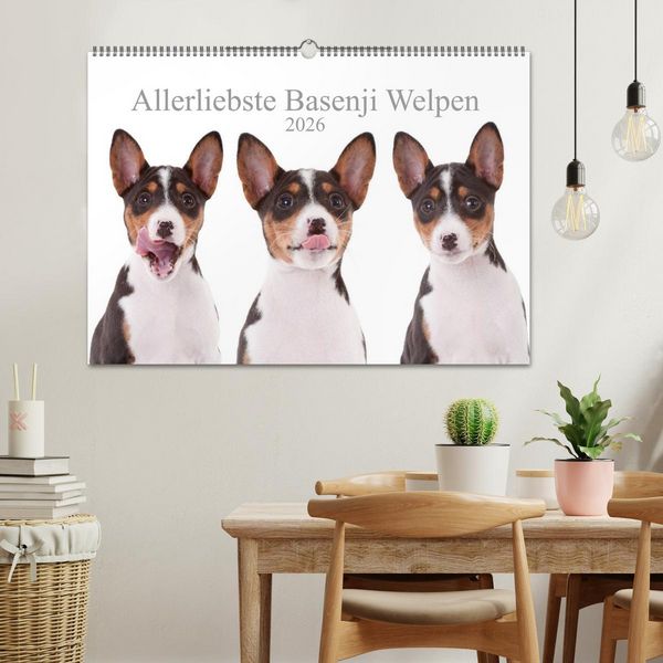 Produktbild: Allerliebste Basenji Welpen 2026 (Wandkalender 2026 DIN A2 quer), CALVENDO Monatskalender