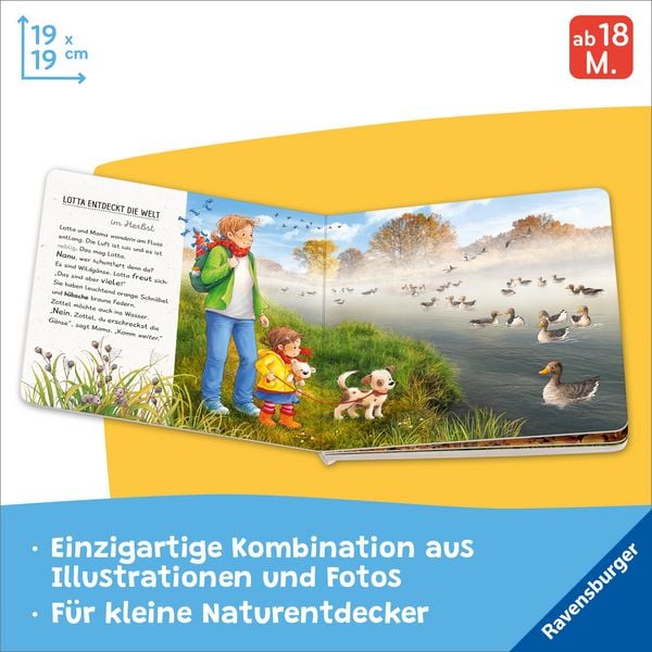 Produktbild: Lotta entdeckt die Welt: Im Herbst