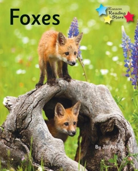 Produktbild: Foxes