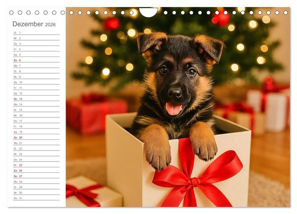 Produktbild: Sch&auml;ferhundliebe - Deine t&auml;gliche Dosis Welpenfreude &ndash; ganz ohne Gassi. (Wandkalender 2026 DIN A4 quer), CALVENDO Monatskalender