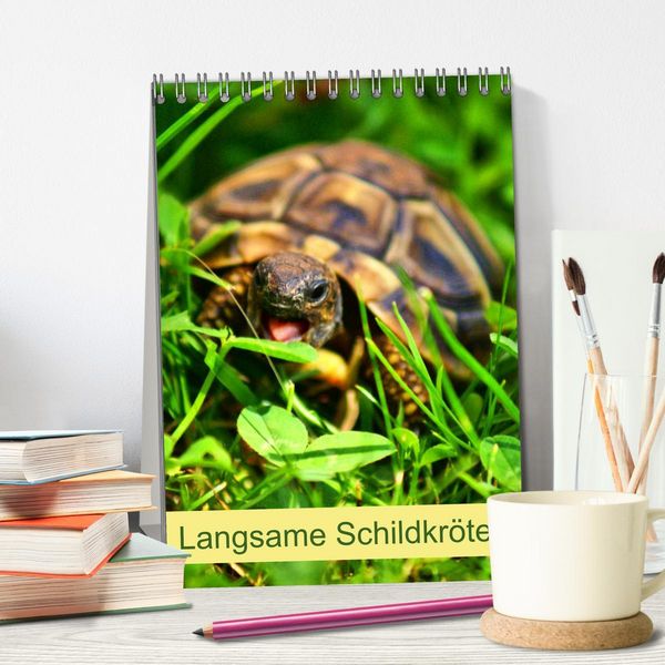 Produktbild: Langsame Schildkr&ouml;ten (Tischkalender 2026 DIN A5 hoch), CALVENDO Monatskalender