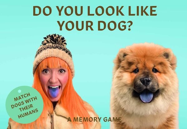 Do You Look Like Your Dog? (Spiel)