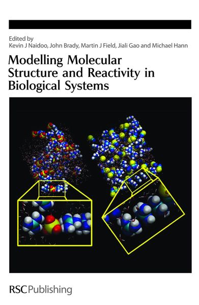 Produktbild: Modelling Molecular Structure and Reactivity in Biological Systems