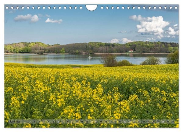 Produktbild: Meine Schlei 2026 (Wandkalender 2026 DIN A4 quer), CALVENDO Monatskalender