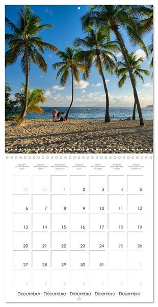 Produktbild: Guadeloupe - Une &icirc;le color&eacute;e des Cara&iuml;bes (Calendrier mural carr&eacute; 2027 30x30 cm) Calendrier double avec une page pour vos prises de notes