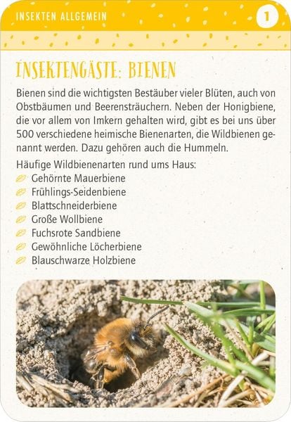 Produktbild: Blatt & Bl&uuml;te Insektengl&uuml;ck