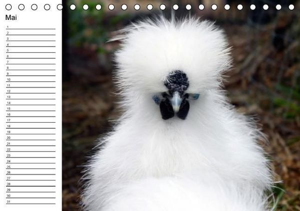 Produktbild: H&uuml;hner / Geburtstagskalender (Tischkalender immerw&auml;hrend DIN A5 quer)