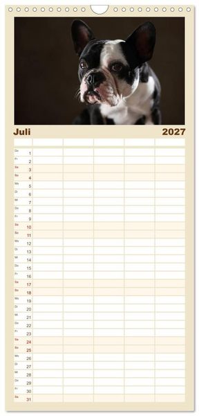 Produktbild: Familienplaner 2027 - Charme auf vier Pfoten - Franz&ouml;sische Bulldoggen Portraits mit 5 Spalten (Wandkalender, 21 x 45 cm) CALVENDO