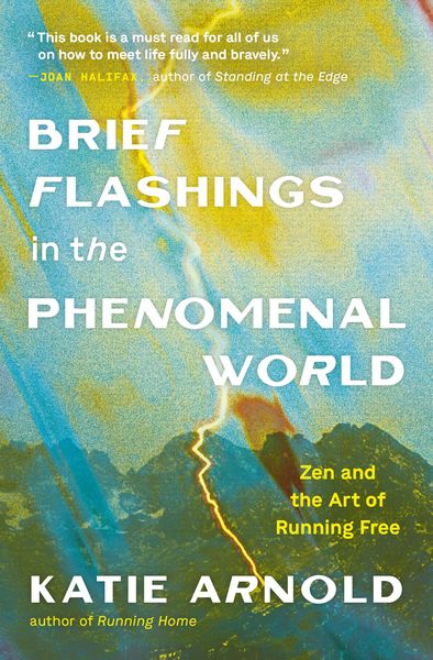 Produktbild: Brief Flashings in the Phenomenal World