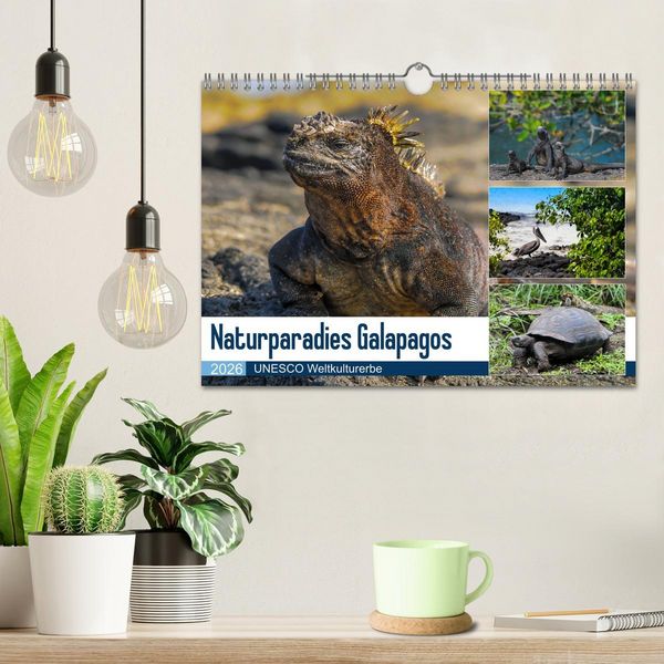Produktbild: Naturparadies Galapagos - UNESCO Weltkulturerbe (Wandkalender 2026 DIN A4 quer), CALVENDO Monatskalender