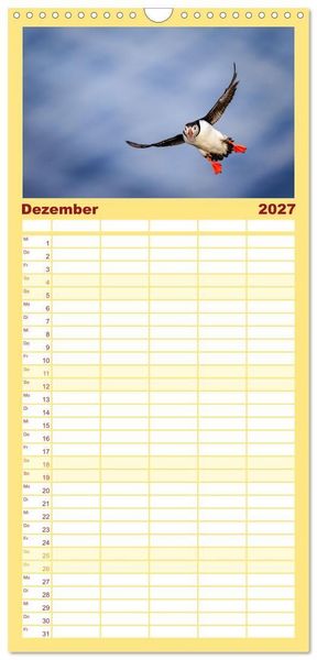 Produktbild: Familienplaner 2027 - Puffins - Papageientaucher auf Island mit 5 Spalten (Wandkalender, 21 x 45 cm) CALVENDO