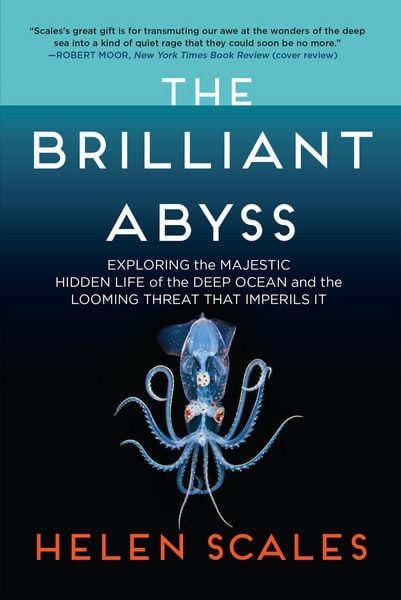 Produktbild: The Brilliant Abyss
