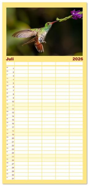 Produktbild: Familienplaner 2026 - Tropische V&ouml;gel Costa Ricas mit 5 Spalten (Wandkalender, 21 x 45 cm) CALVENDO