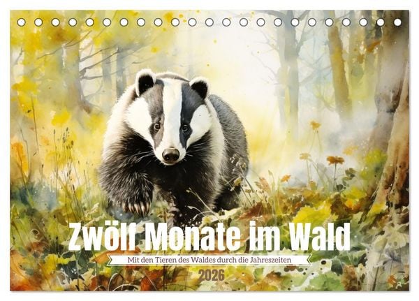 Produktbild: Zw&ouml;lf Monate im Wald (Tischkalender 2026 DIN A5 quer), CALVENDO Monatskalender