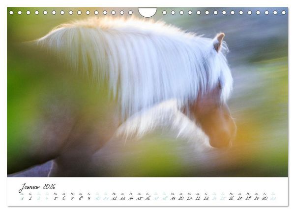 Produktbild: Pferde vom Wind verweht (Wandkalender 2026 DIN A4 quer), CALVENDO Monatskalender