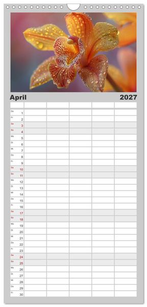 Produktbild: Familienplaner 2027 - Orchideen - farbenfroh durchs Jahr mit 5 Spalten (Wandkalender, 21 x 45 cm) CALVENDO