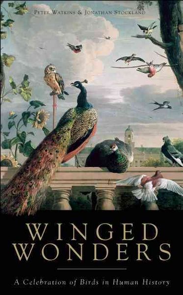 Produktbild: Winged Wonders