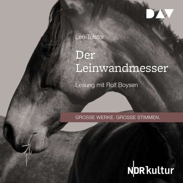 Produktbild: Der Leinwandmesser