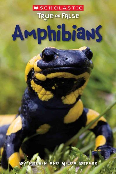 Produktbild: Amphibians