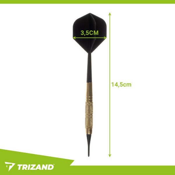 Produktbild: Darts-Set 12-tlg. + Spitzen Trizand 26100