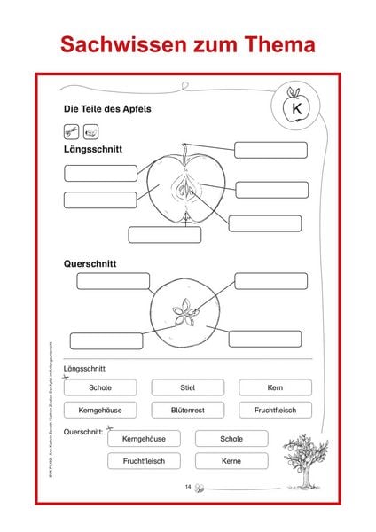 Produktbild: Der Apfel im Anfangsunterricht