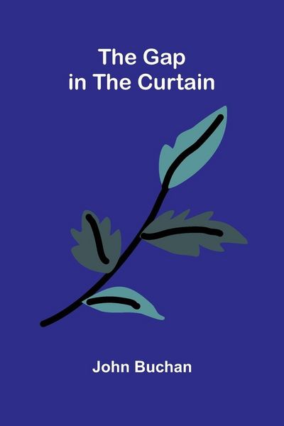 Produktbild: The Gap in the Curtain