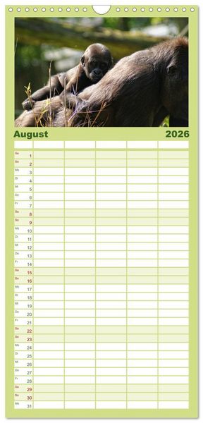 Produktbild: Familienplaner 2026 - Gorillas - Die sanften Wilden mit 5 Spalten (Wandkalender, 21 x 45 cm) CALVENDO