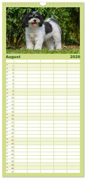 Produktbild: Familienplaner 2026 - Havaneser - Herz auf 4 Pfoten mit 5 Spalten (Wandkalender, 21 x 45 cm) CALVENDO