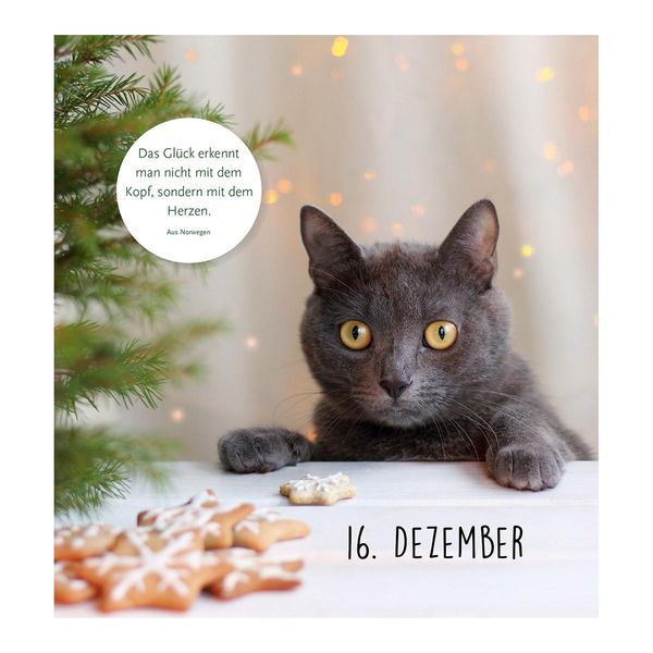 Produktbild: Auf Samtpfoten durch den Advent