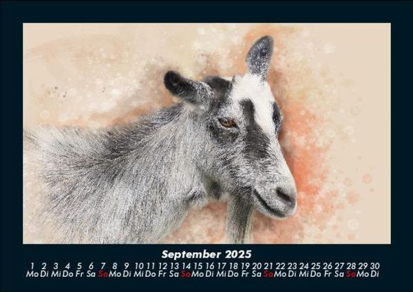 Produktbild: Kunstkalender 2025 Fotokalender DIN A5