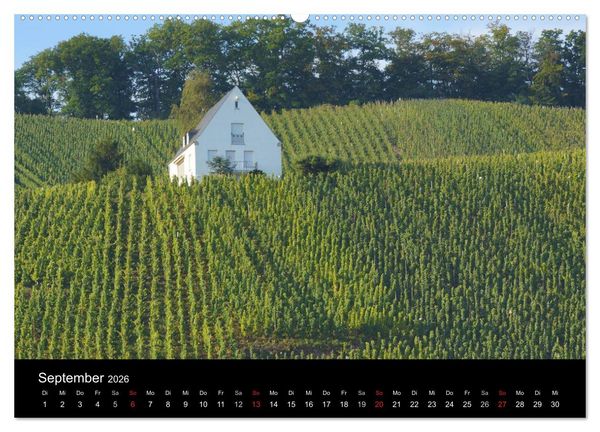 Produktbild: Sch&ouml;ne Mosel (Wandkalender 2026 DIN A2 quer), CALVENDO Monatskalender