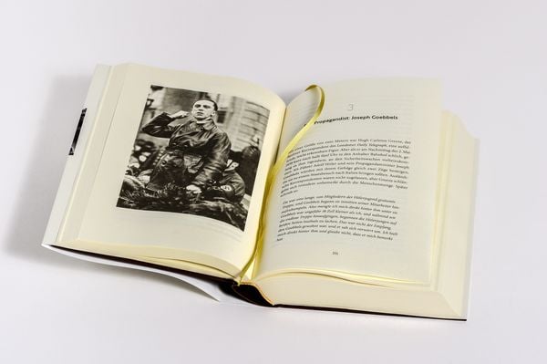 Produktbild: Hitlers Komplizen