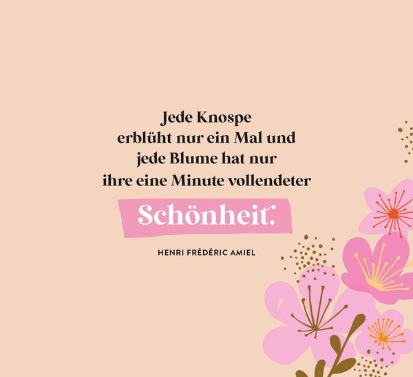 Produktbild: Ein Meer aus Bl&uuml;ten