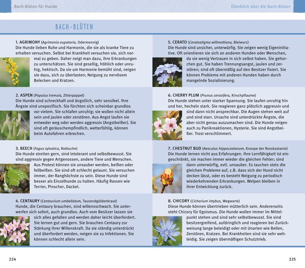 Produktbild: Hom&ouml;opathie f&uuml;r Hunde